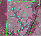 Original stand lines (green) with overlay of GPS data (blue).