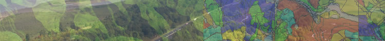 GIS Services