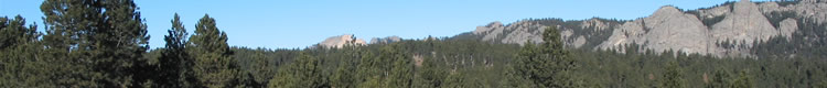 Forestry Consulting